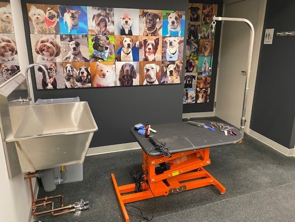 Sink and table for dog grooming with collage of dog photos on the wall in the St. Francis House Dog Care Academy training classroom.